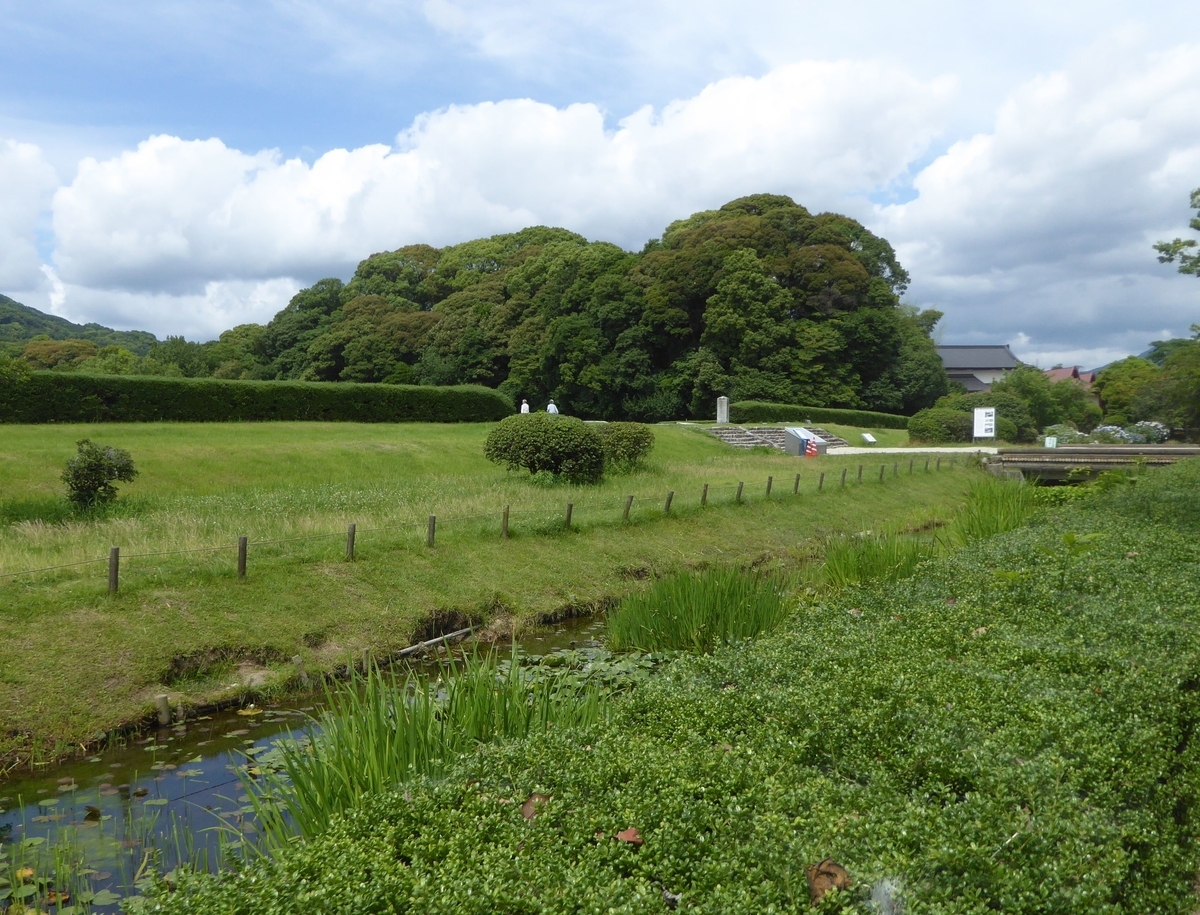 f:id:momoyorozu:20190724000150j:plain f:id:momoyorozu:20190724000150j:plain