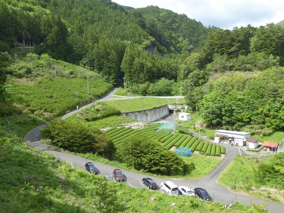 f:id:momoyorozu:20190809205355j:plain