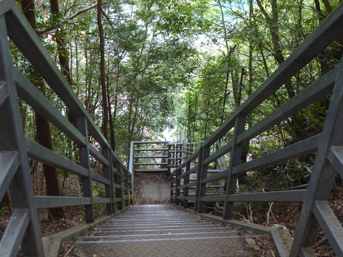 f:id:momoyorozu:20190810003640j:plain