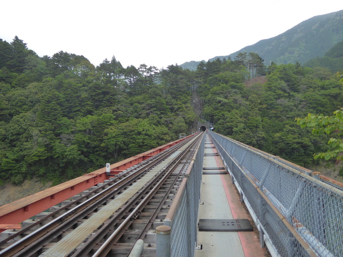 f:id:momoyorozu:20190810004006j:plain