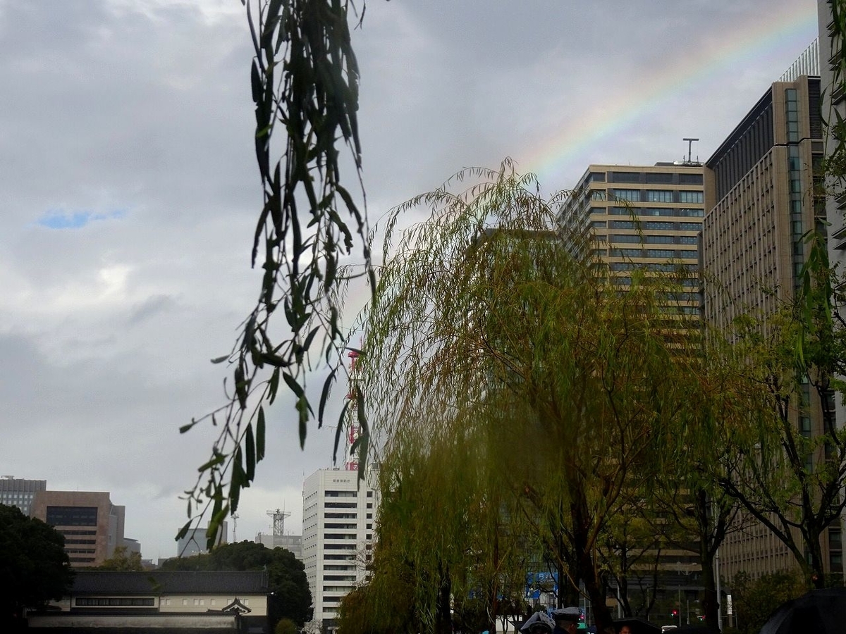 f:id:momoyorozu:20191206202429j:plain