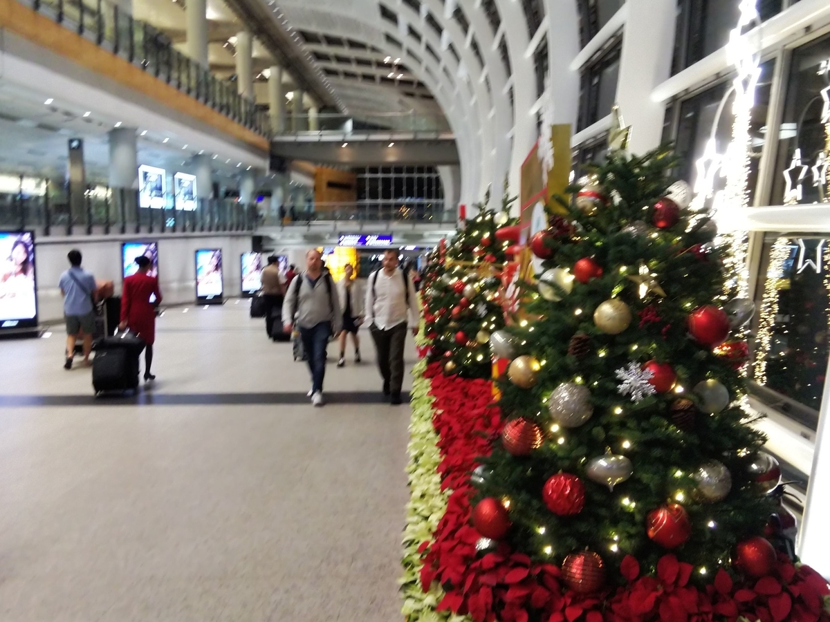 f:id:momoyorozu:20191209011445j:plain f:id:momoyorozu:20191209011445j:plain