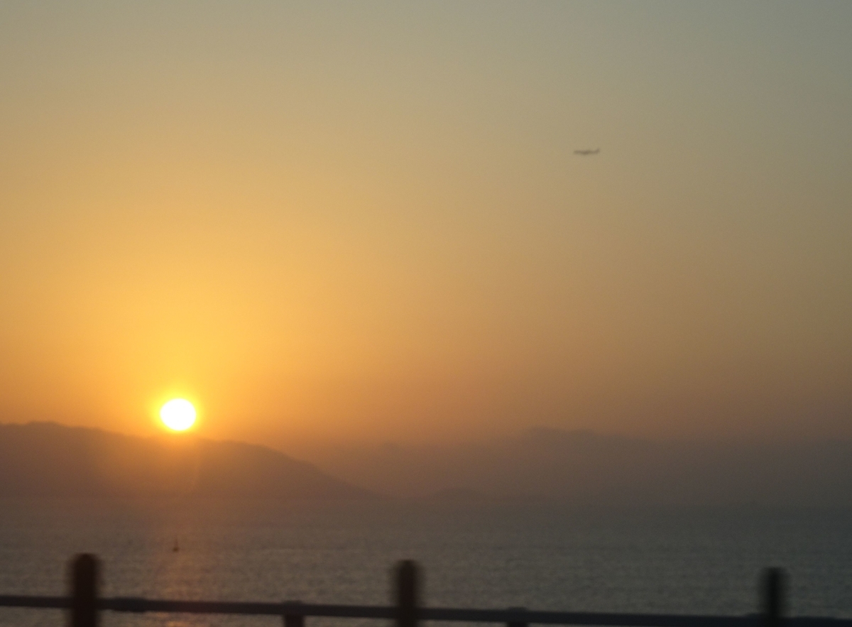 f:id:momoyorozu:20191210010426j:plain f:id:momoyorozu:20191210010426j:plain