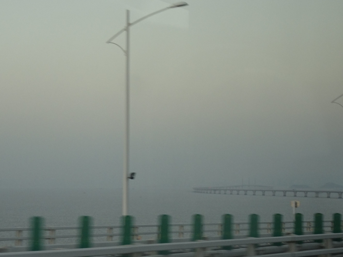 f:id:momoyorozu:20191210010550j:plain f:id:momoyorozu:20191210010550j:plain