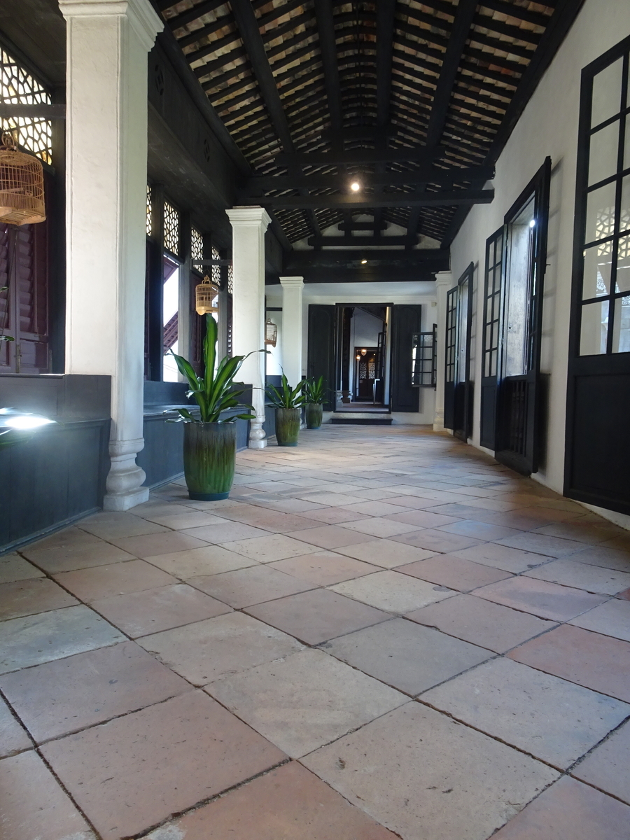 f:id:momoyorozu:20191227173932j:plain f:id:momoyorozu:20191227173932j:plain