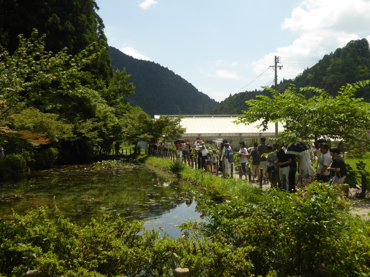 f:id:momoyorozu:20200328020008j:plain