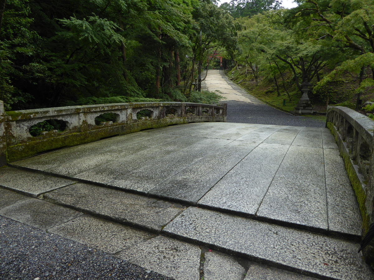 f:id:momoyorozu:20201213021623j:plain