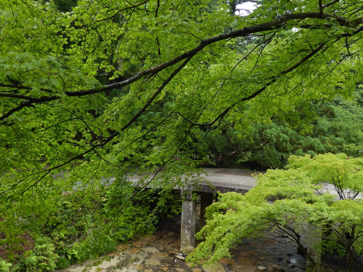 f:id:momoyorozu:20201213022140j:plain