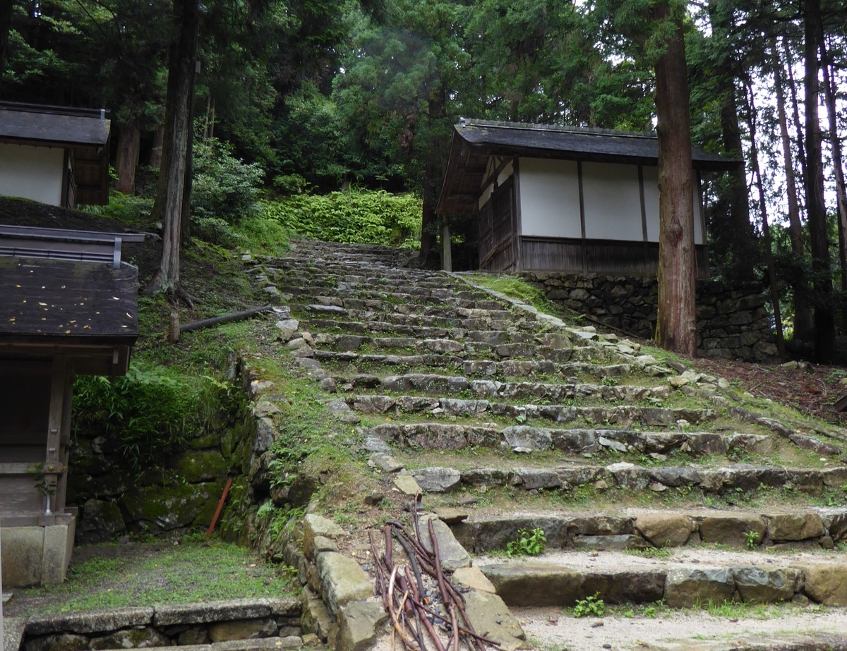 f:id:momoyorozu:20201214135630j:plain