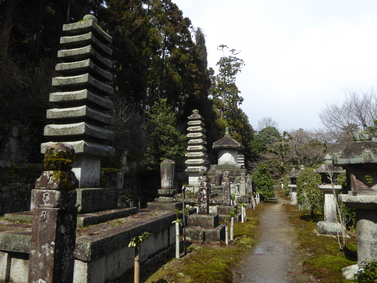 f:id:momoyorozu:20210103143206j:plain