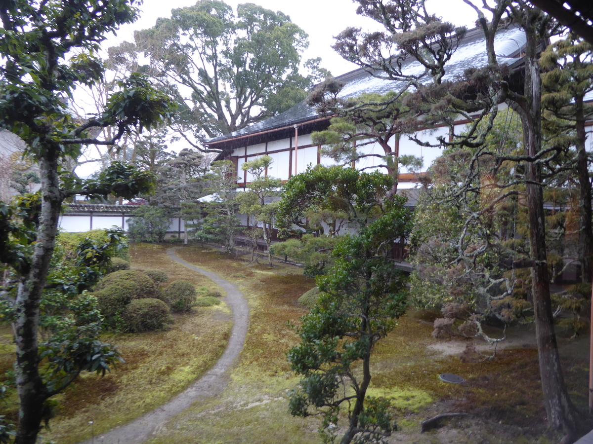 f:id:momoyorozu:20210103144201j:plain