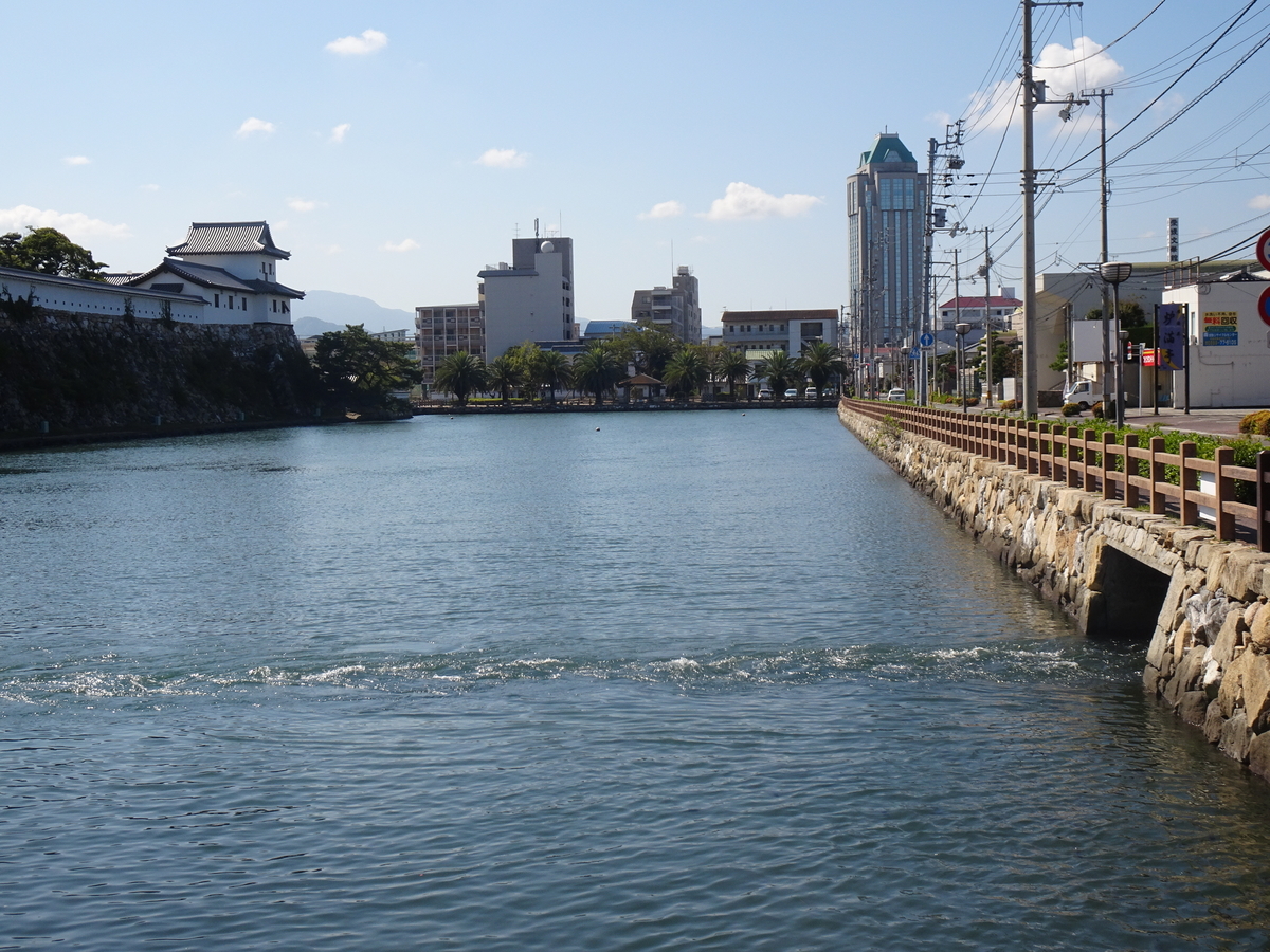 f:id:momoyorozu:20210311003143j:plain