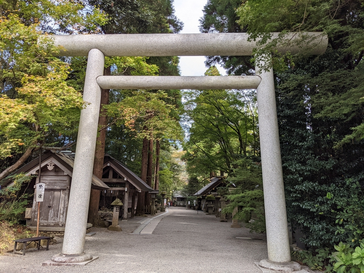 f:id:momoyorozu:20220120201315j:plain