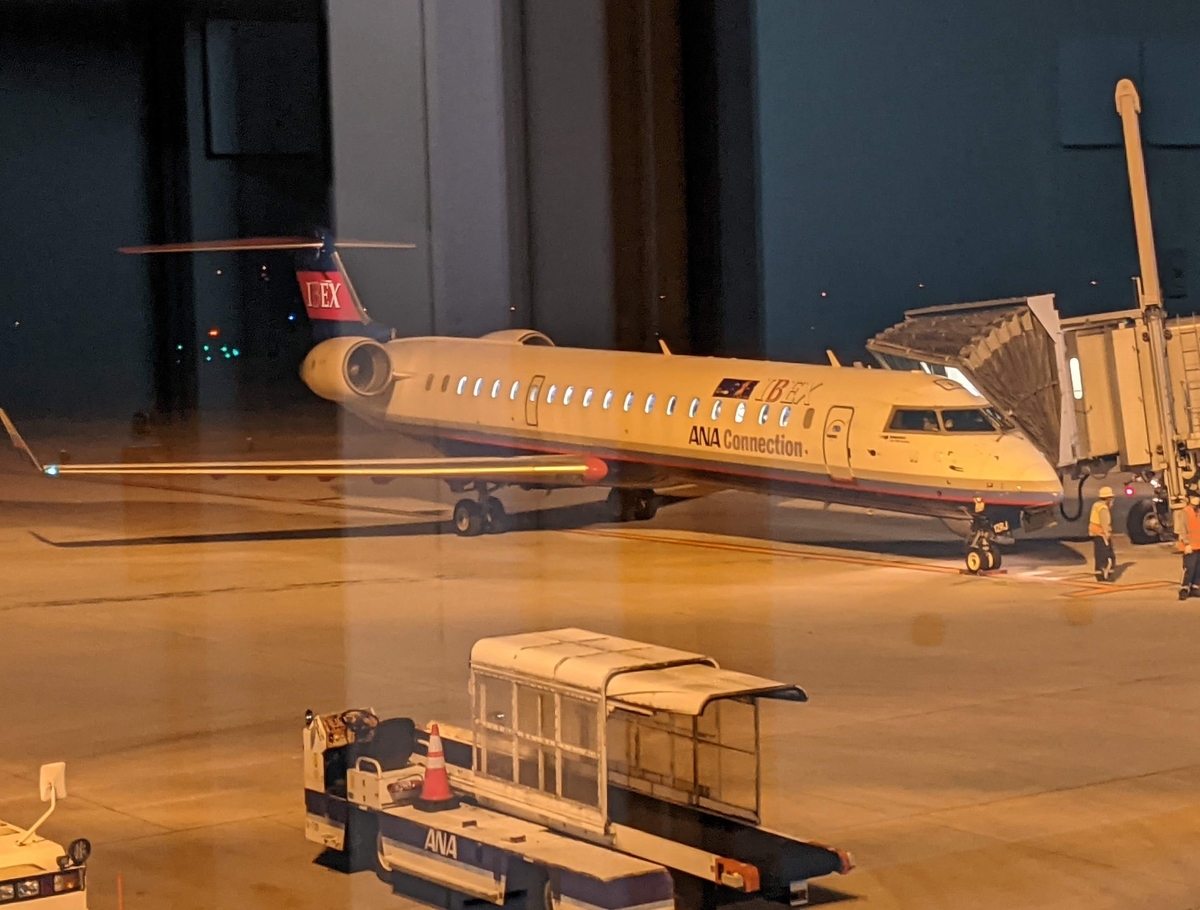 f:id:momoyorozu:20220314180925j:plain