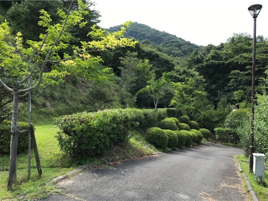 f:id:momozin:20170821202058j:image
