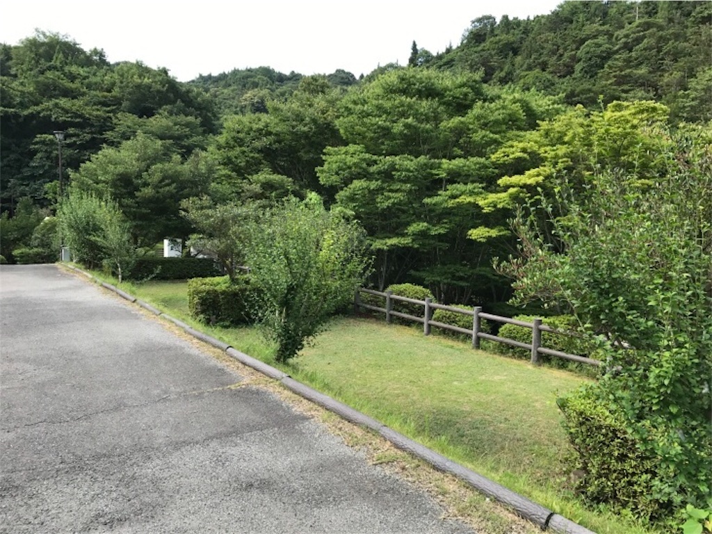 f:id:momozin:20170821202538j:image f:id:momozin:20170821202538j:image