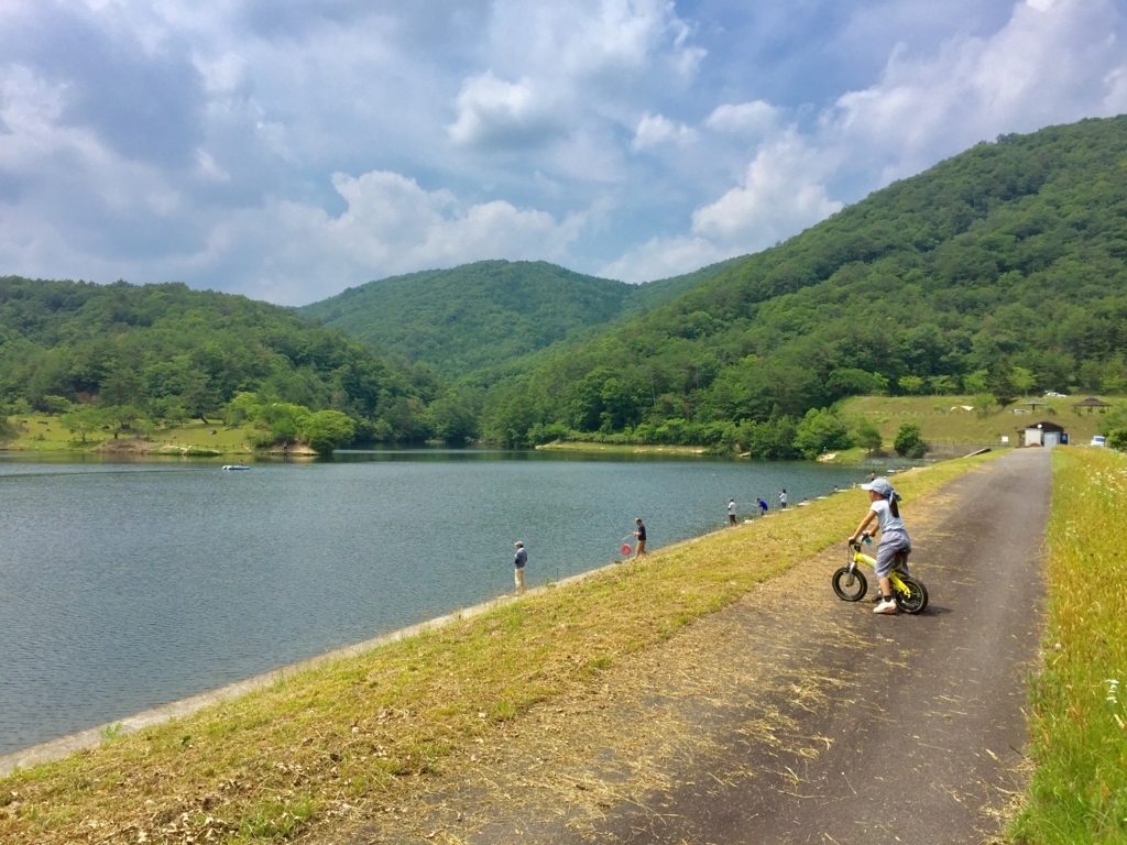 f:id:momozin:20180703140006j:plain