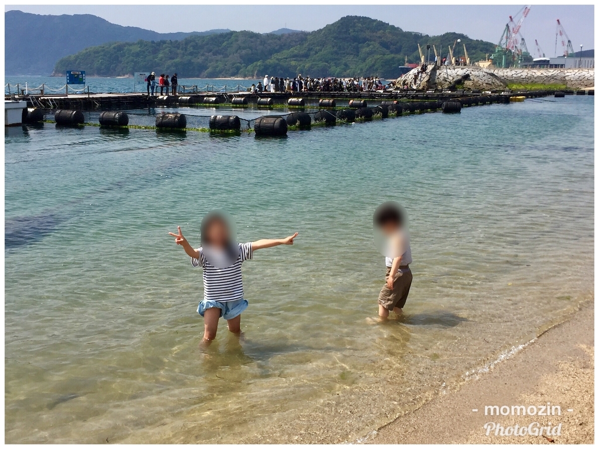 f:id:momozin:20190616124729j:plain