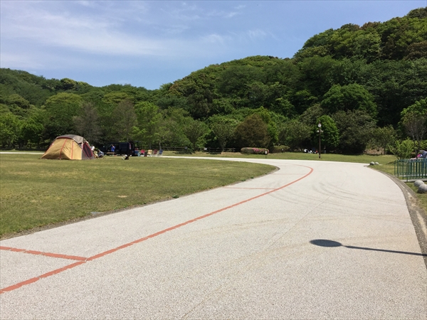 f:id:momozin:20190710220351j:plain