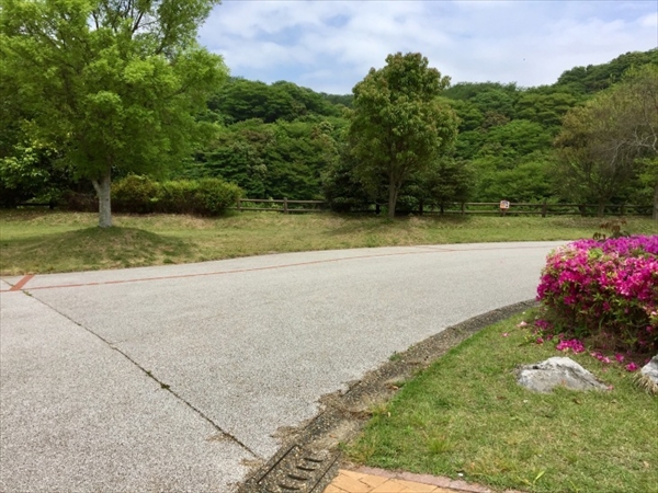 f:id:momozin:20190711220510j:plain