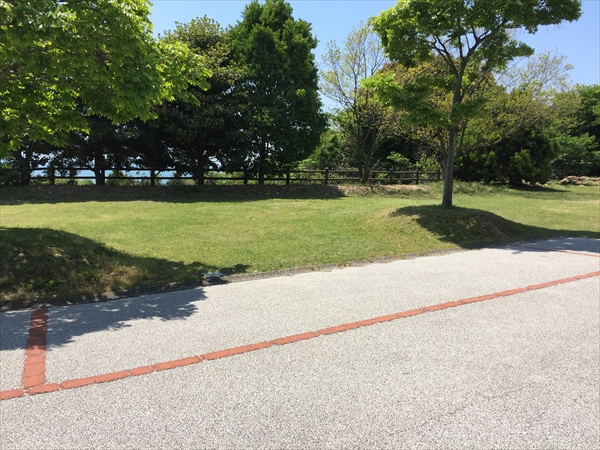 f:id:momozin:20190711220527j:plain