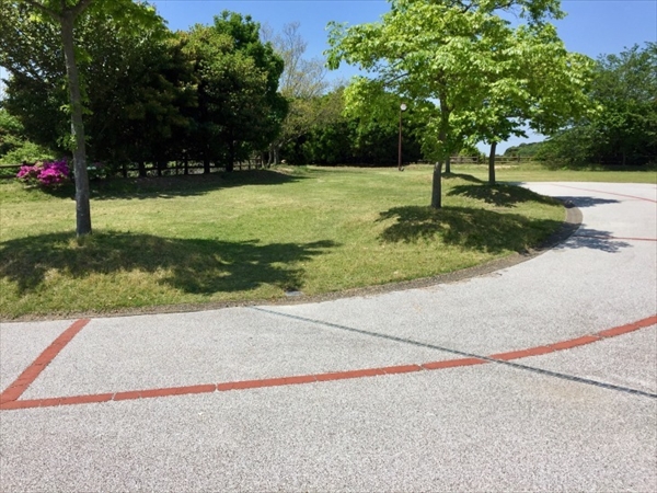 f:id:momozin:20190711220530j:plain