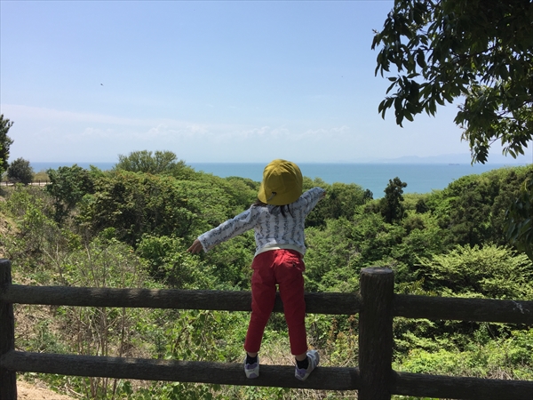 f:id:momozin:20190711220546j:plain