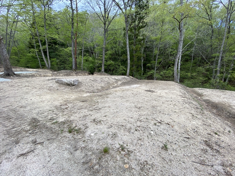 f:id:momozin:20210520154344j:plain