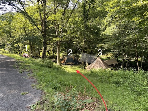 f:id:momozin:20210818233246j:image