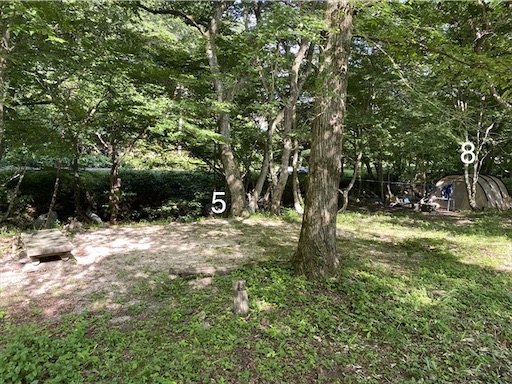 f:id:momozin:20210819062332j:image