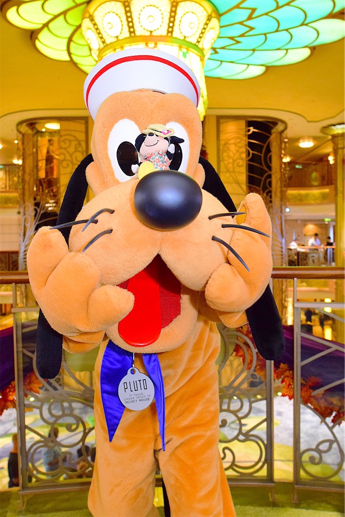 f:id:mon24mile:20201115181638j:image f:id:mon24mile:20201115181638j:image