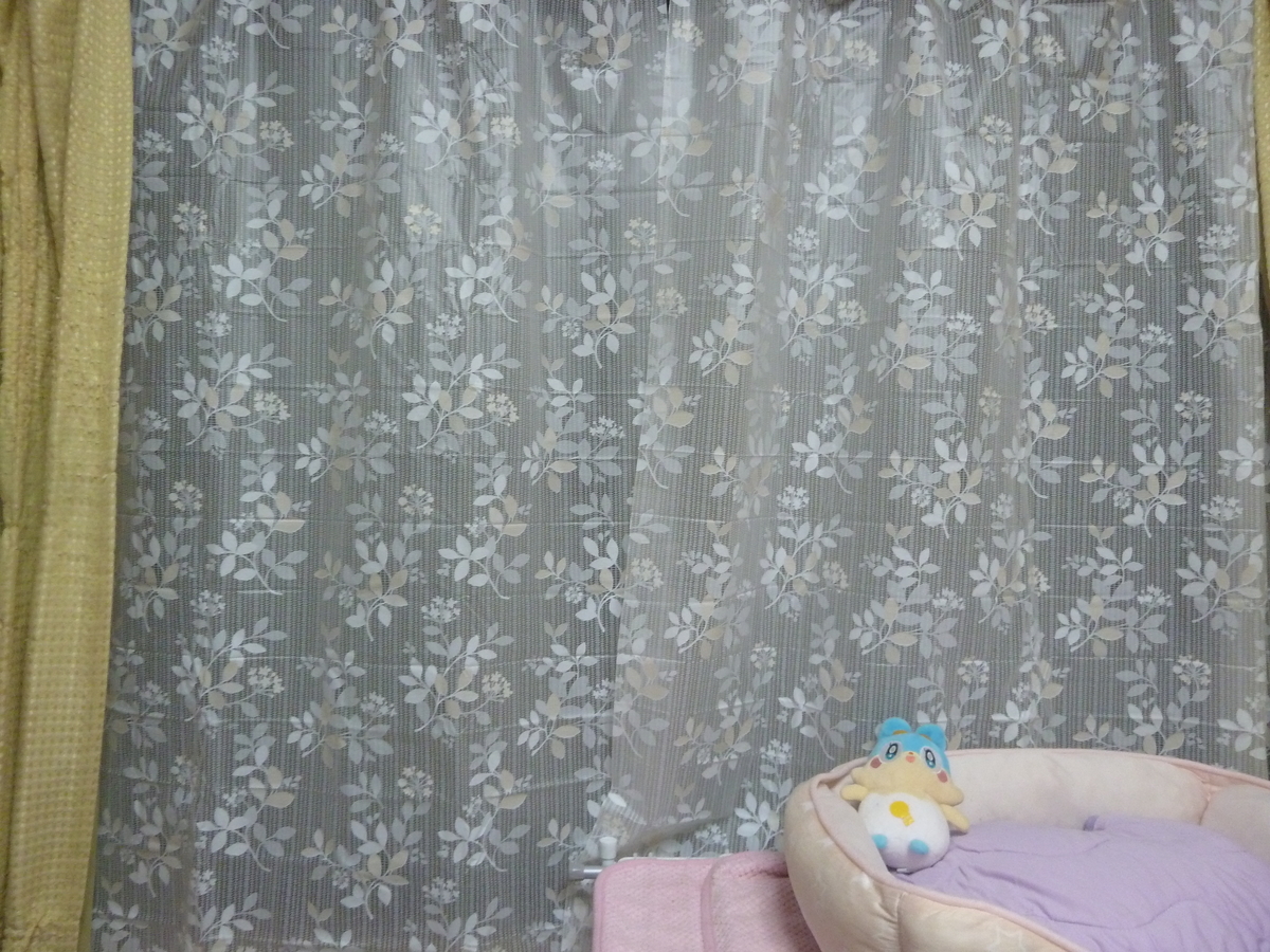 f:id:mona1009:20201020151830j:plain f:id:mona1009:20201020151830j:plain
