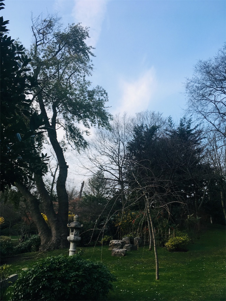 f:id:mona18:20190312065001j:image f:id:mona18:20190312065001j:image
