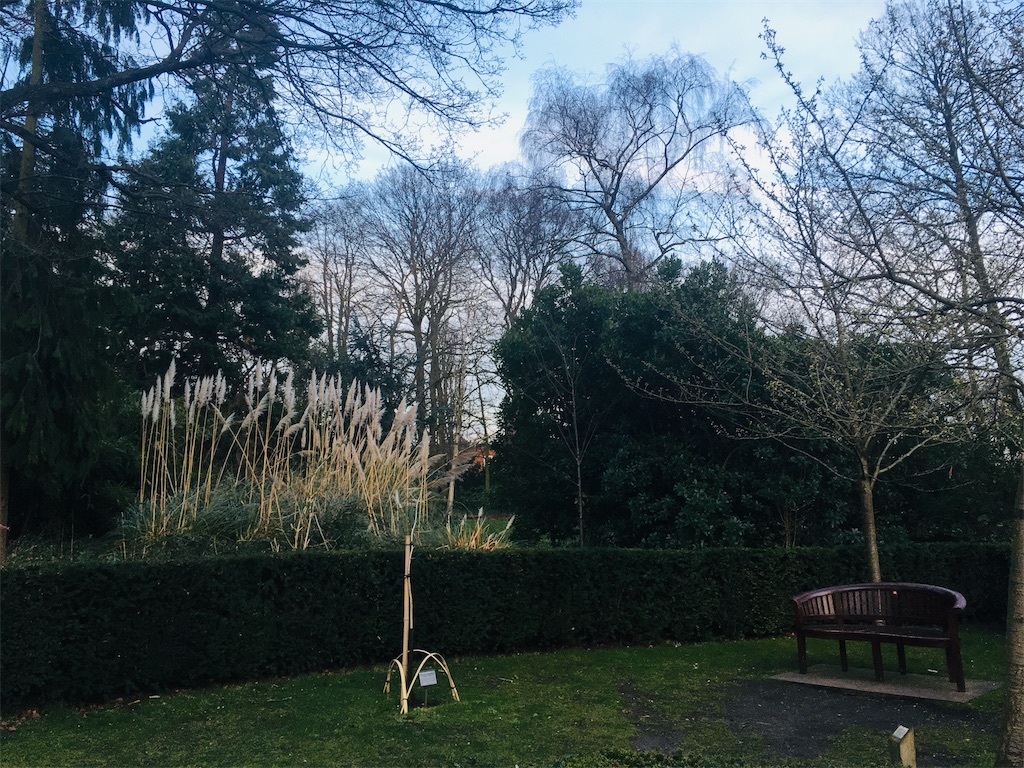 f:id:mona18:20190312065014j:image f:id:mona18:20190312065014j:image
