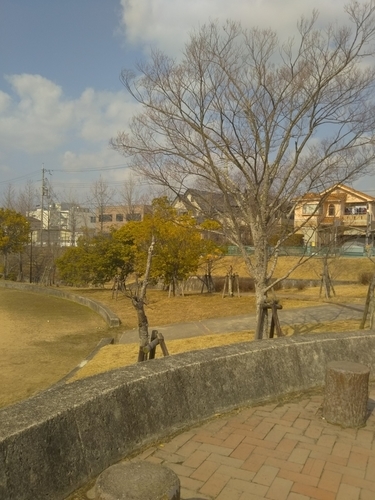 f:id:monachabimama:20190301155315j:plain