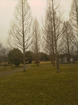 f:id:monachabimama:20190306154258j:plain