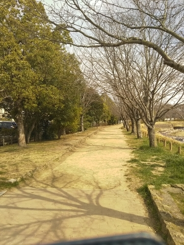f:id:monachabimama:20190318153055j:plain
