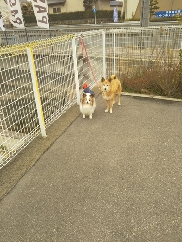 f:id:monachabimama:20190320141718j:plain