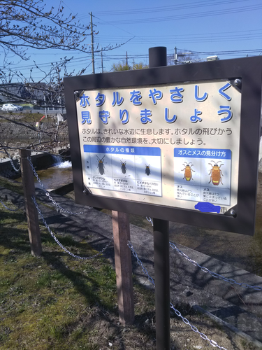 f:id:monachabimama:20190326113235p:plain