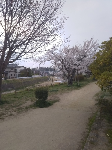 f:id:monachabimama:20190407182057j:plain