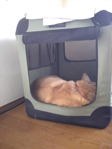 f:id:monachabimama:20190409191057j:plain