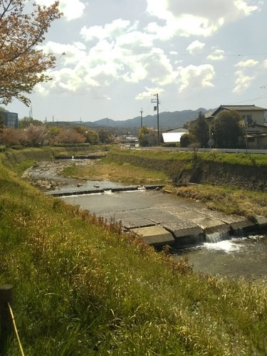 f:id:monachabimama:20190418115201j:plain