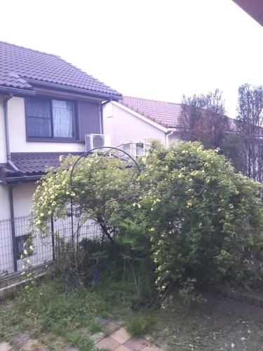 f:id:monachabimama:20190429204053j:plain
