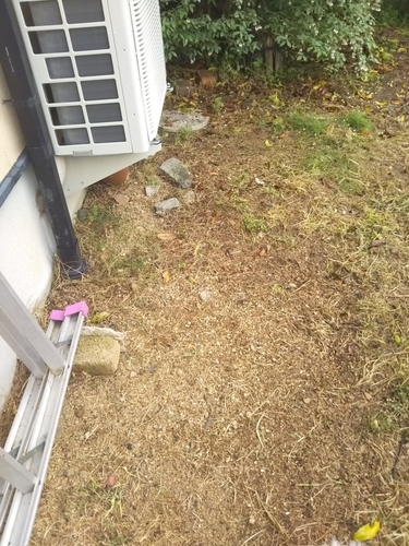f:id:monachabimama:20190501132320j:plain f:id:monachabimama:20190501132320j:plain