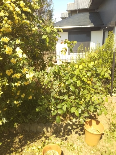f:id:monachabimama:20190513213744j:plain f:id:monachabimama:20190513213744j:plain