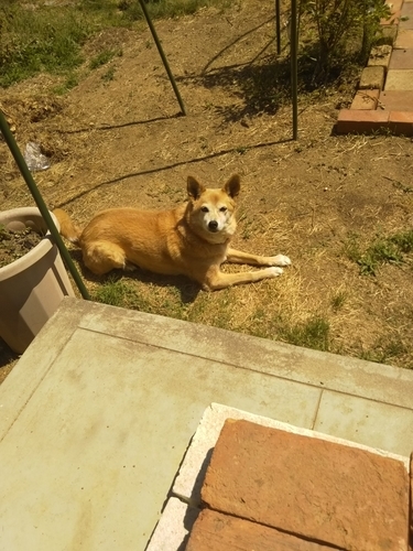 f:id:monachabimama:20190523142629j:plain f:id:monachabimama:20190523142629j:plain