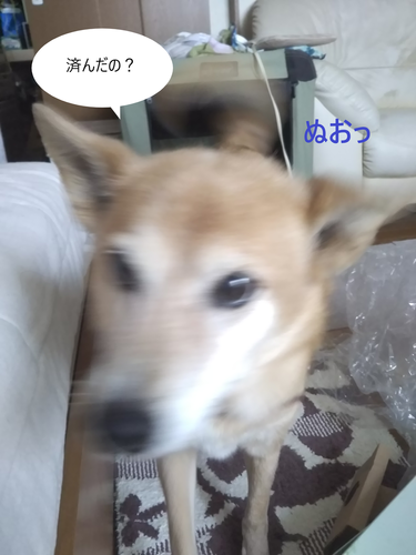 f:id:monachabimama:20190603172203p:plain