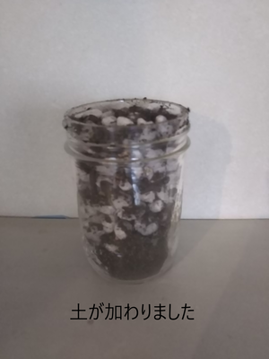 f:id:monachabimama:20190607180149p:plain