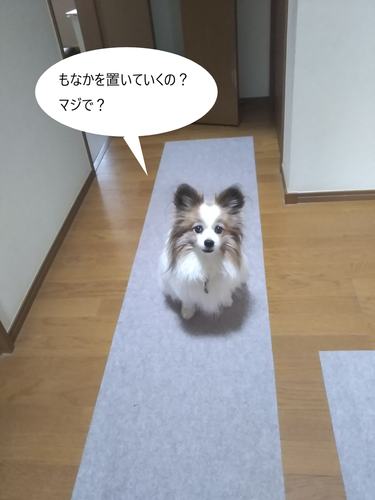 f:id:monachabimama:20190616081557p:plain