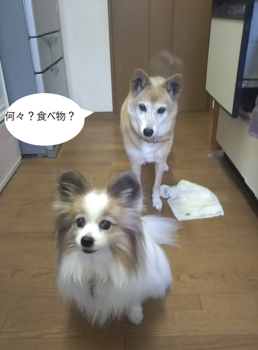f:id:monachabimama:20190619083124p:plain